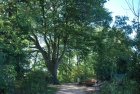 090827_rundweg_01.jpg 090827_rundweg_01.jpg